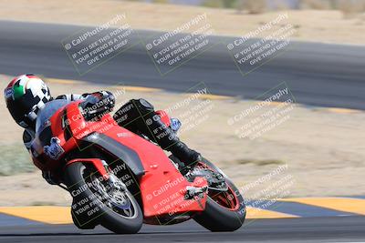 media/May-13-2023-SoCal Trackdays (Sat) [[8a473a8fd1]]/Turn 10 (920am)/